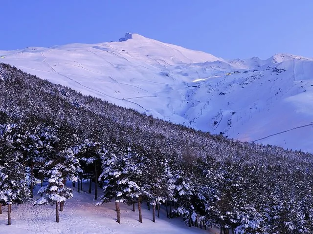 Verschneiter Berghang mit Skipisten über einem dichten Kiefernwald