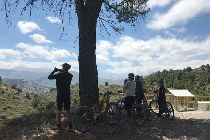 Mountain bikers resting under a tree taking photos of the landscape